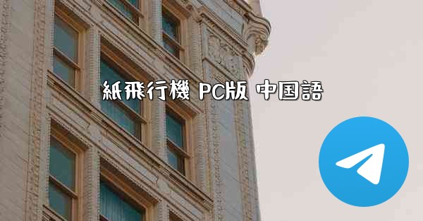 紙飛行機 PC版 中国語