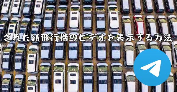 キャッシュされた紙飛行機のビデオを表示する方法