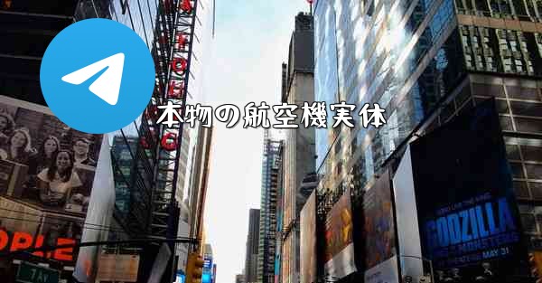 本物の航空機実体