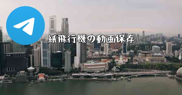 紙飛行機の動画保存