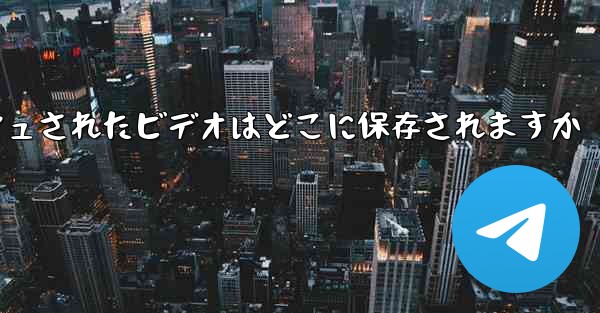 Paper Plane のキャッシュされたビデオはどこに保存されますか