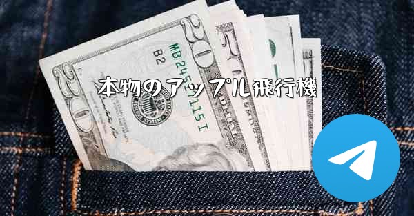 本物のアップル飛行機