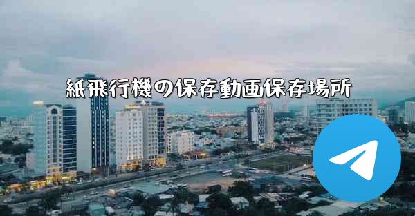 紙飛行機の保存動画保存場所