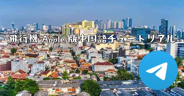飛行機 Apple 版中国語チュートリアル
