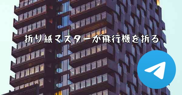 折り紙マスターが飛行機を折る
