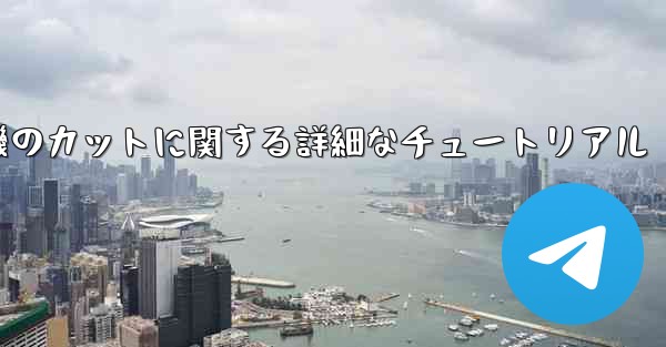 ティッシュペーパー飛行機のカットに関する詳細なチュートリアル