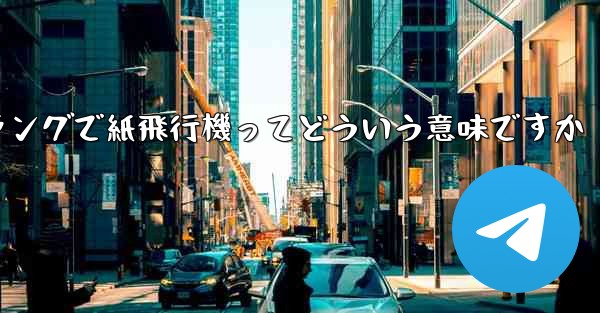 ネットスラングで紙飛行機ってどういう意味ですか