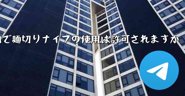 飛行機内で麺切りナイフの使用は許可されますか