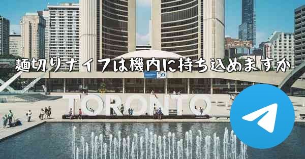 麺切りナイフは機内に持ち込めますか