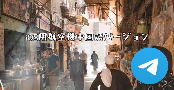 iOS用航空機中国語バージョン
