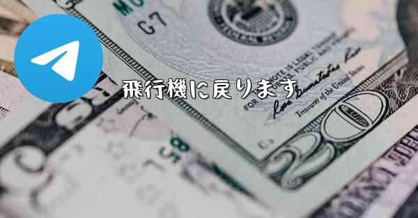 飛行機に戻ります