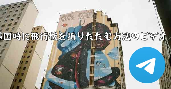 帰国時に飛行機を折りたたむ方法のビデオ