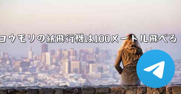 コウモリの紙飛行機は100メートル飛べる