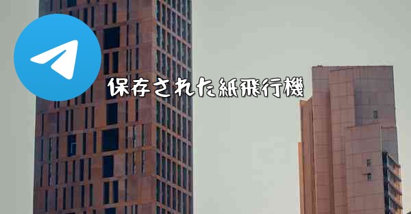 保存された紙飛行機