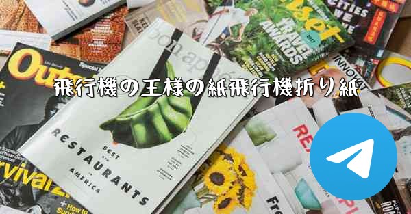 飛行機の王様の紙飛行機折り紙
