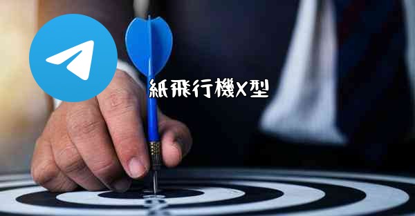 紙飛行機X型