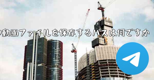 紙飛行機の動画ファイルを保存するパスは何ですか