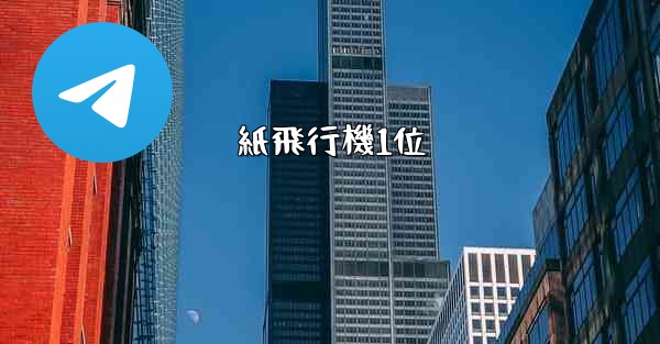 紙飛行機1位