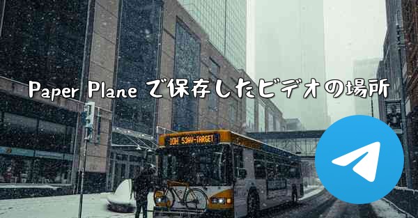 Paper Plane で保存したビデオの場所