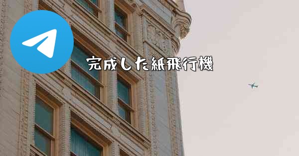 完成した紙飛行機