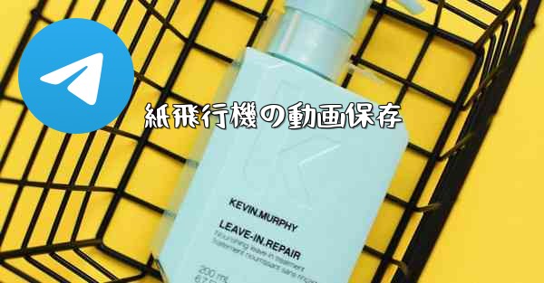 紙飛行機の動画保存