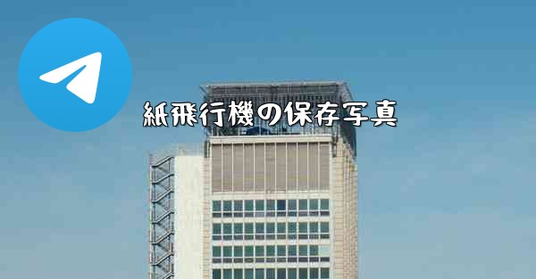 紙飛行機の保存写真