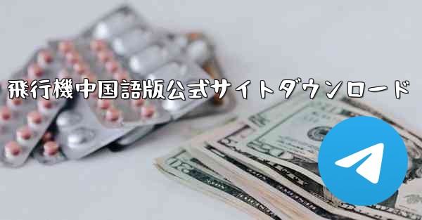 飛行機中国語版公式サイトダウンロード