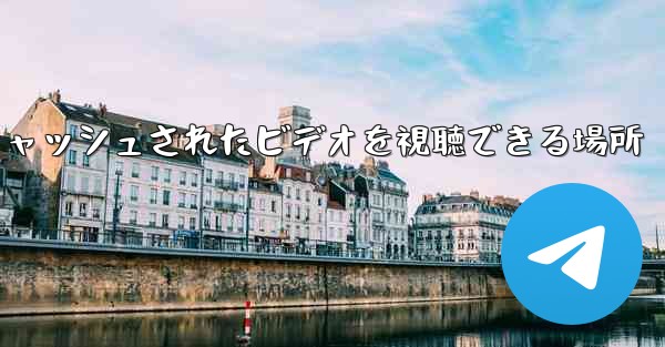 Paper Plane のキャッシュされたビデオを視聴できる場所