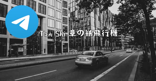 Tan Shi 章の紙飛行機