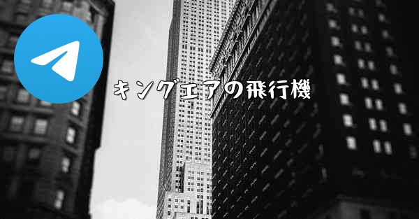 キングエアの飛行機