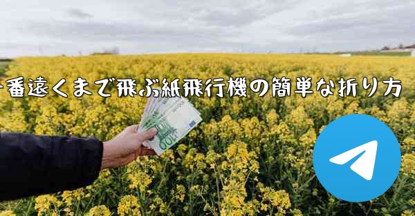 一番遠くまで飛ぶ紙飛行機の簡単な折り方