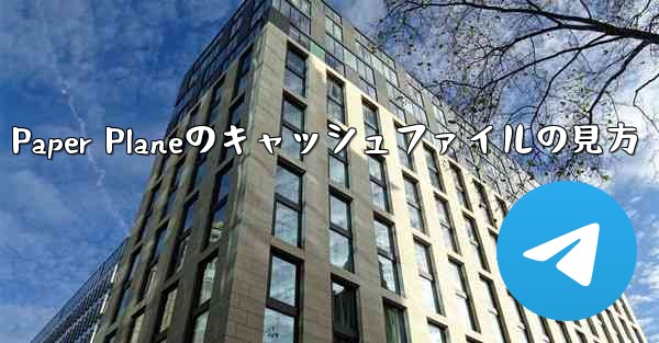 Paper Planeのキャッシュファイルの見方