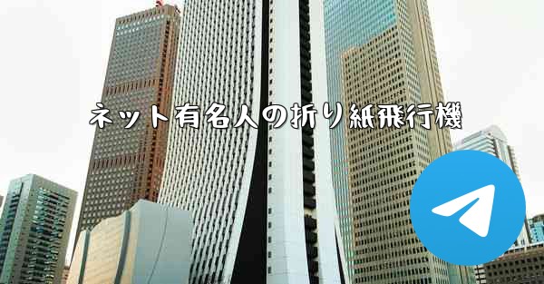 ネット有名人の折り紙飛行機