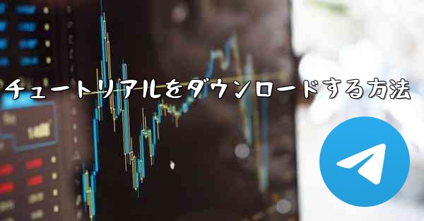 Apple から飛行機のビデオチュートリアルをダウンロードする方法