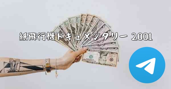 紙飛行機ドキュメンタリー 2001