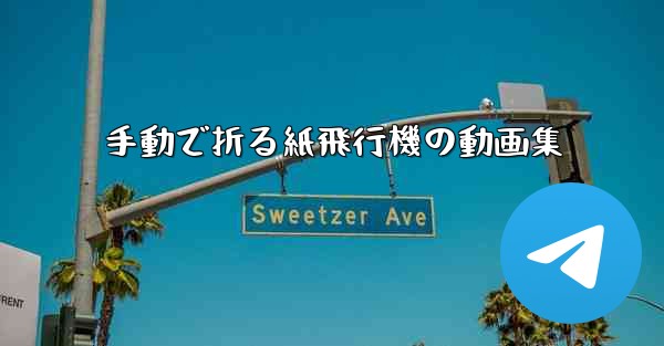 手動で折る紙飛行機の動画集