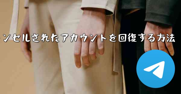 Paper Planeのキャンセルされたアカウントを回復する方法