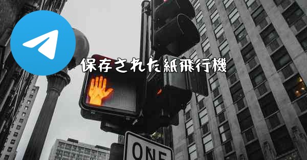 保存された紙飛行機