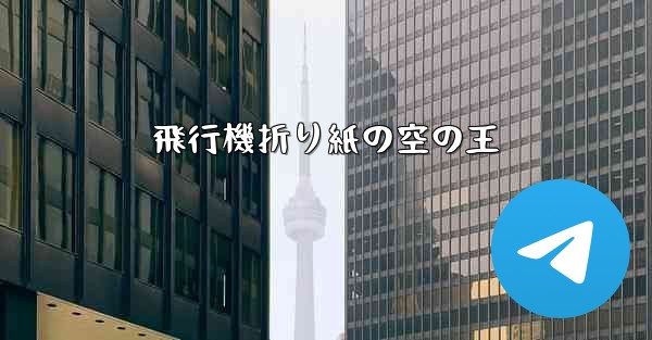 飛行機折り紙の空の王