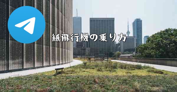 紙飛行機の乗り方